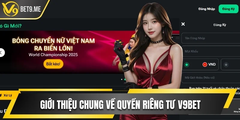 Giới thiệu chung về quyền riêng tư V9bet