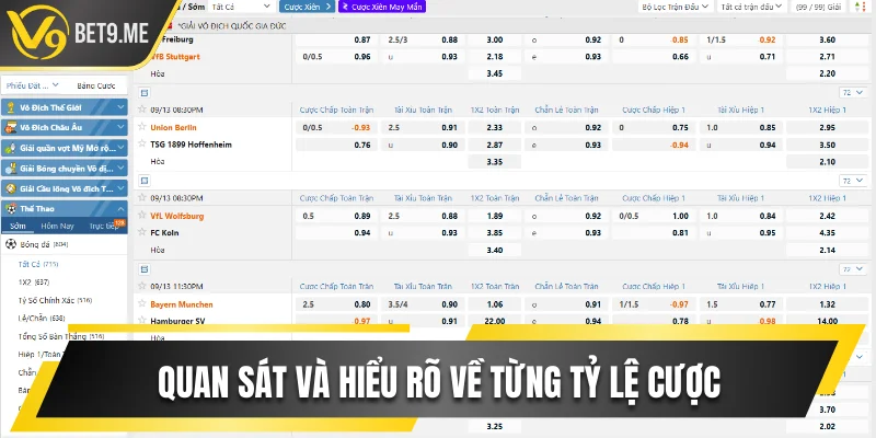 Quan sát và hiểu rõ về từng tỷ lệ cược nhà cái đưa ra