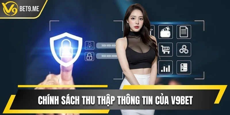 Tìm hiểu thông tin thu thập bởi nhà cái