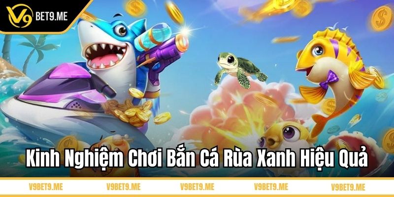 Kinh nghiệm chơi bắn cá rùa xanh hiệu quả